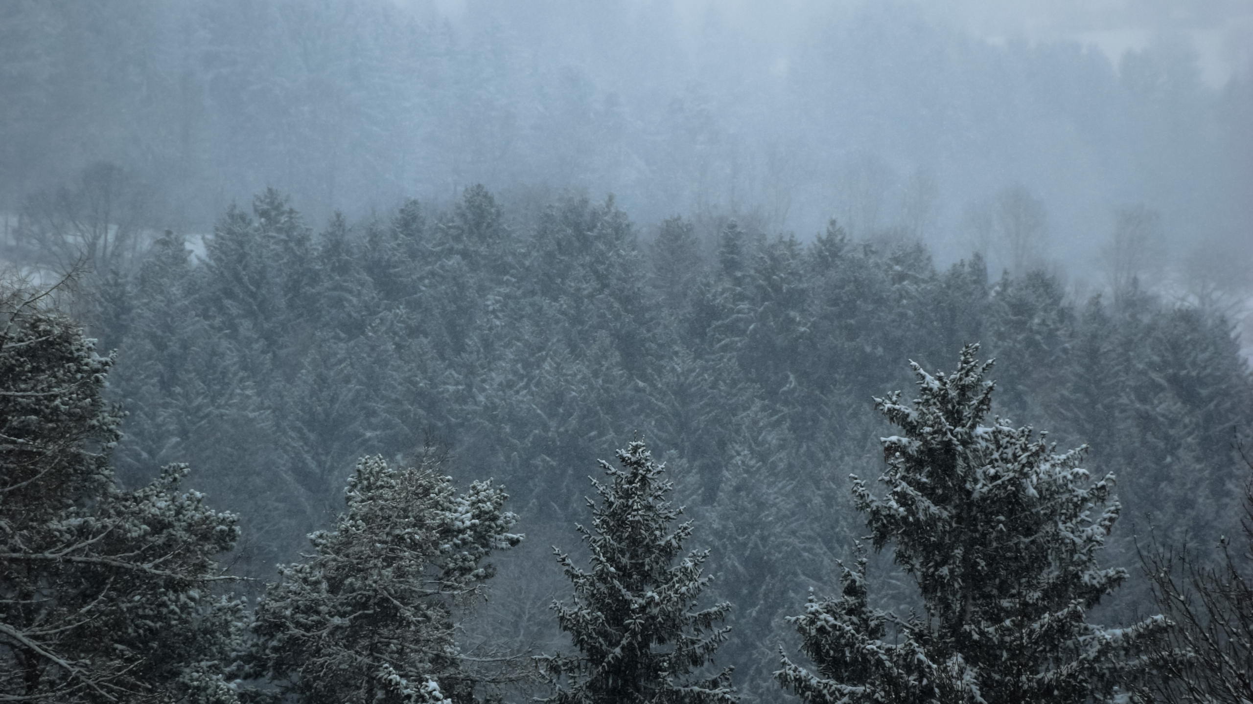 Обои мост, облако, атмосфера, дымка, природный ландшафт в разрешении 2560x1440