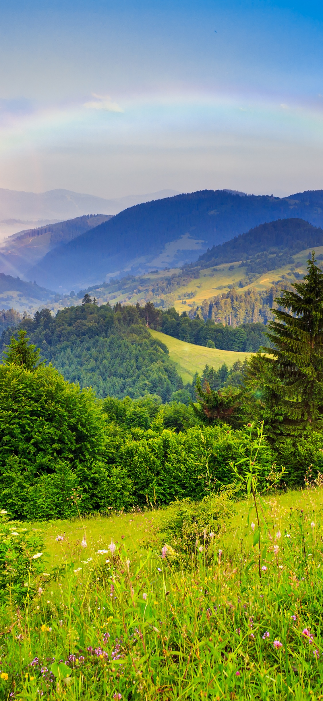 Обои природа, пустыня, небо, луг, растительность в разрешении 1125x2436