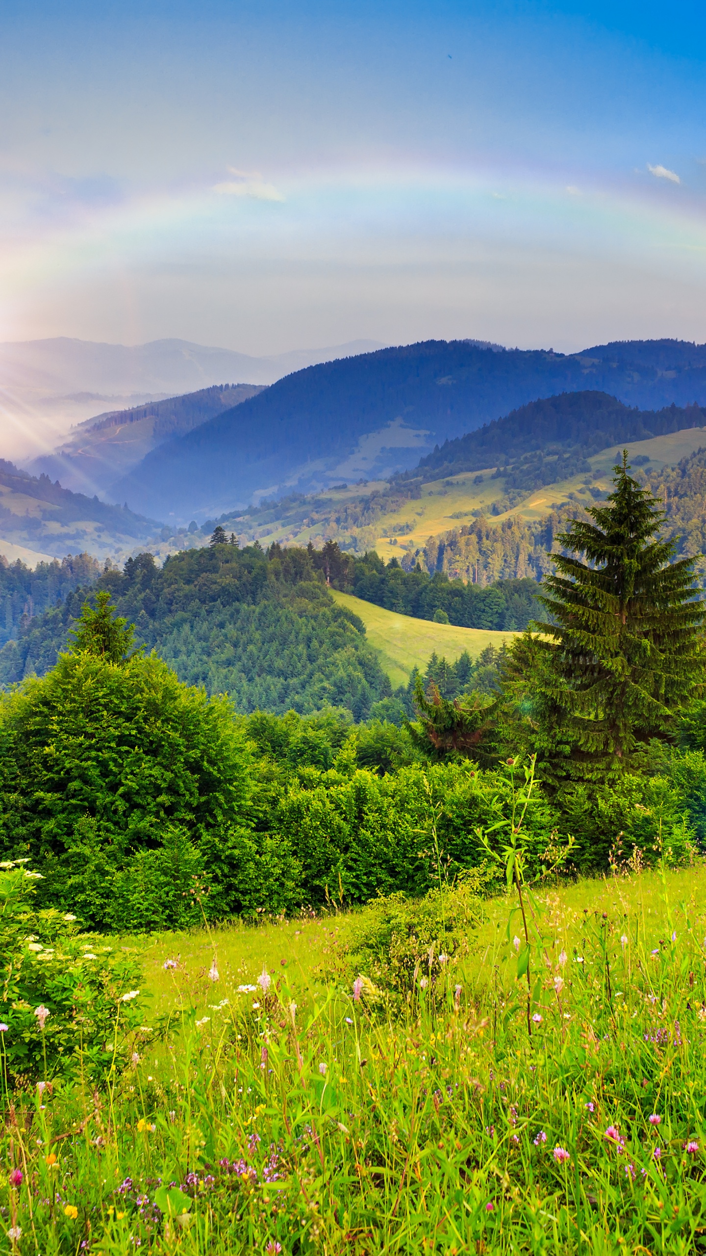 Обои природа, пустыня, небо, луг, растительность в разрешении 1440x2560