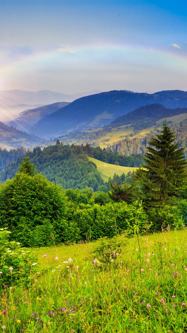 Обои природа, пустыня, небо, луг, растительность в разрешении 750x1334