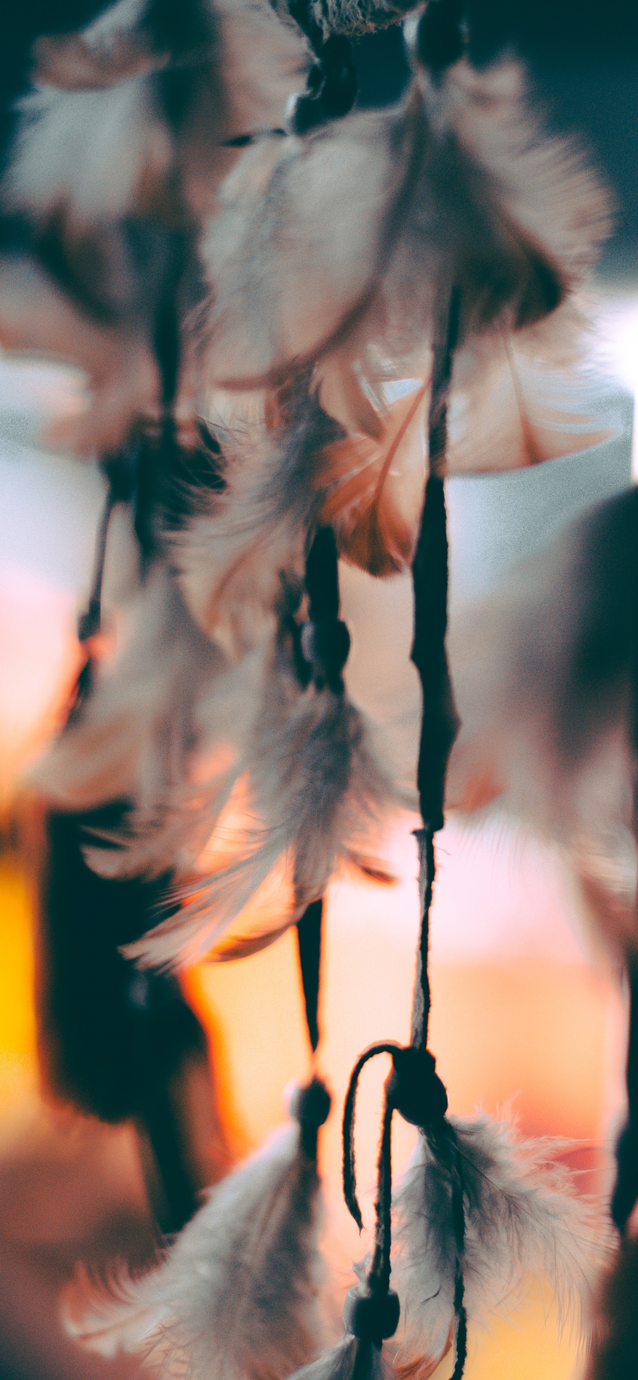 Обои лист, дерево, ветвь, прут, растение в разрешении 1242x2688