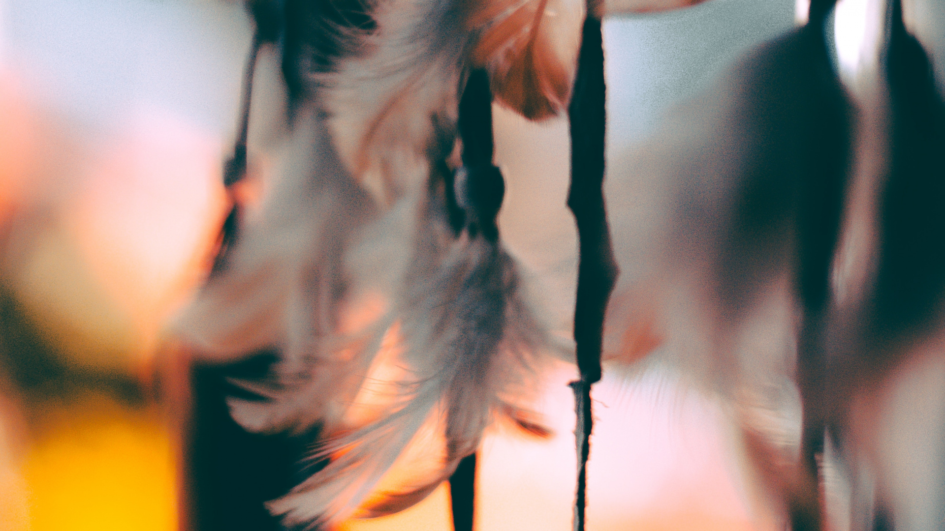 Обои лист, дерево, ветвь, прут, растение в разрешении 1920x1080