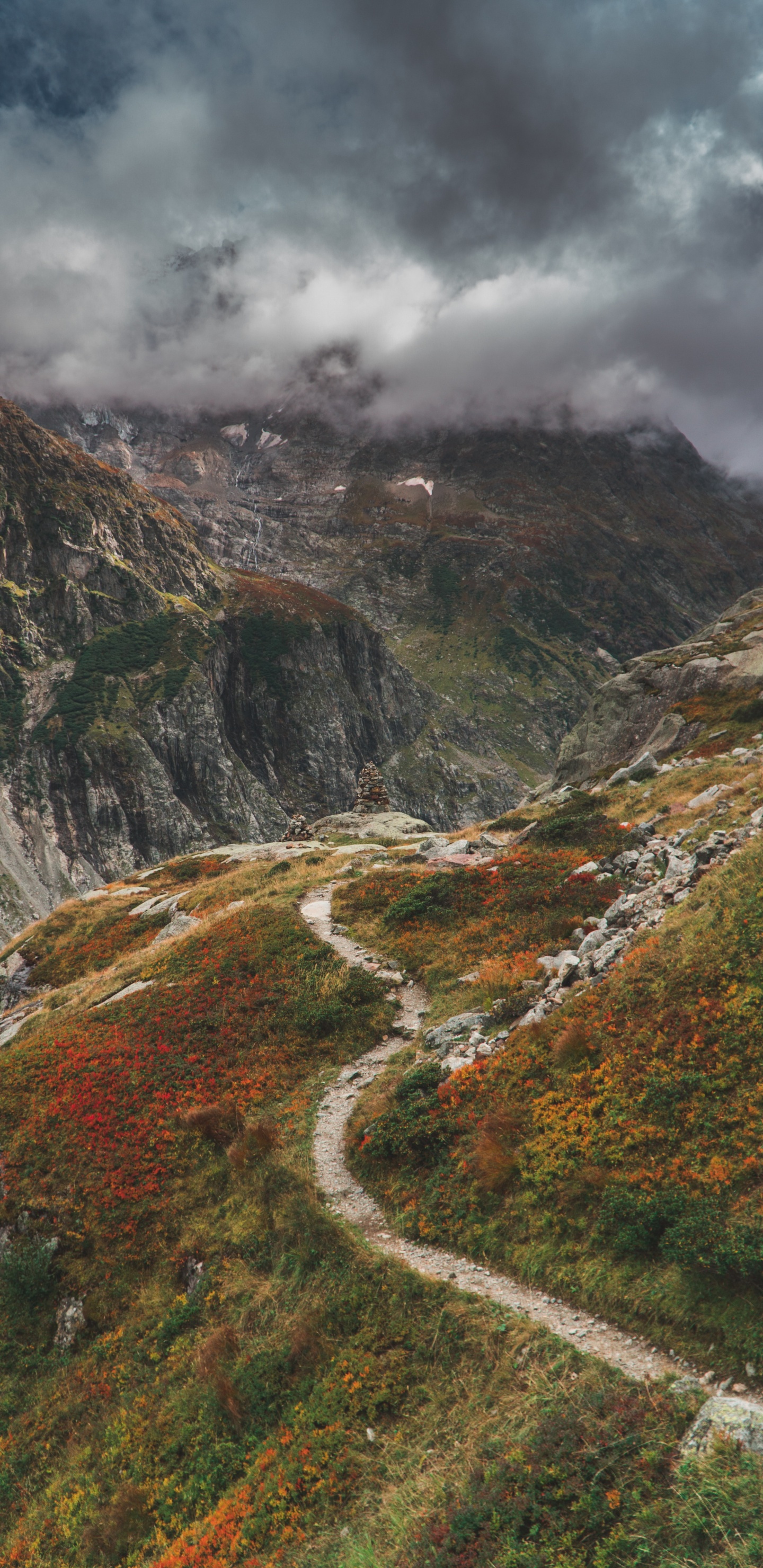 Обои горный рельеф, нагорье, природа, гора, природный ландшафт в разрешении 1440x2960