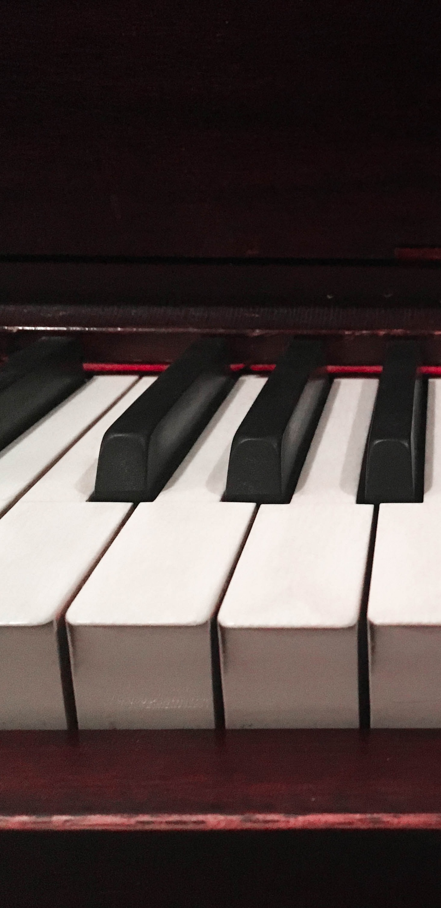 Обои фортепьяно, синтезатор, клавиатура, ключ, музыкальный инструмент в разрешении 1440x2960