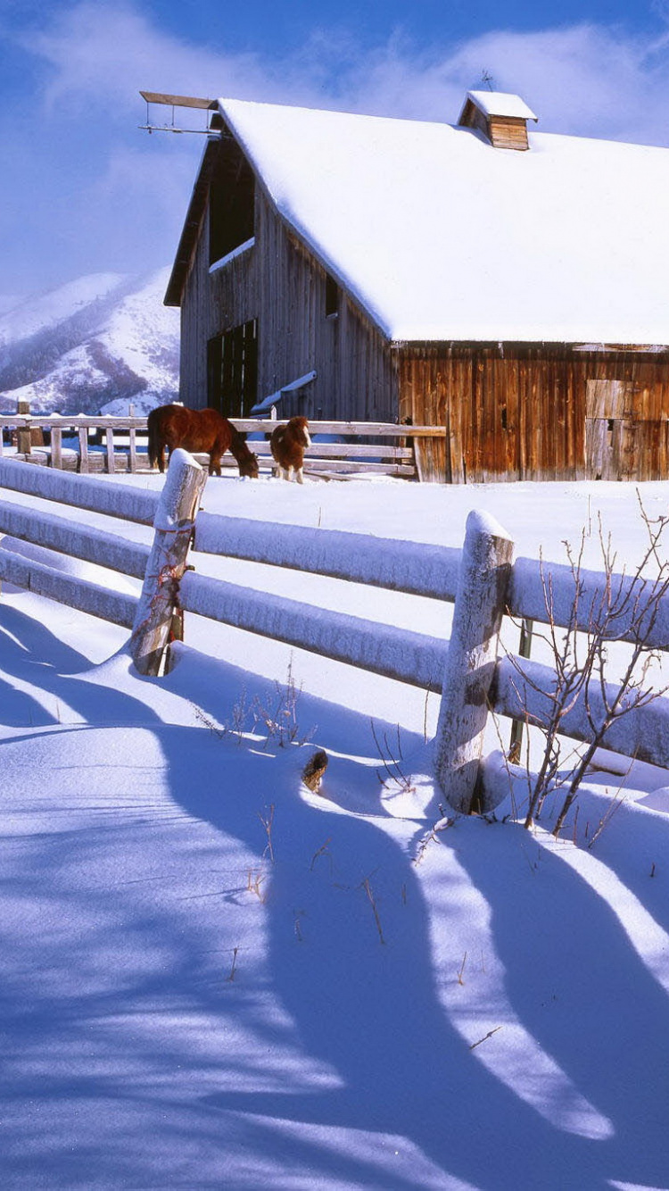 Обои амбар, зима, снег, замораживание, бревенчатый домик в разрешении 750x1334