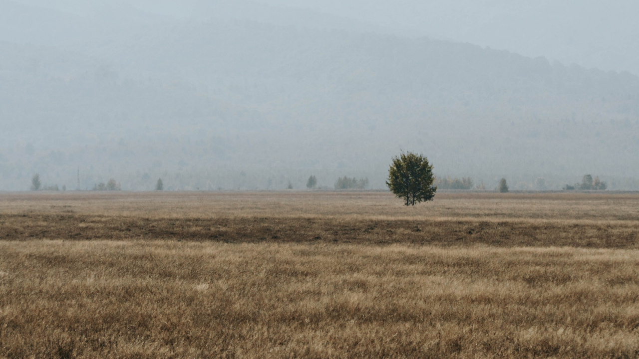 Обои сельский район, утро, дерево, национальный парк, небо в разрешении 1280x720
