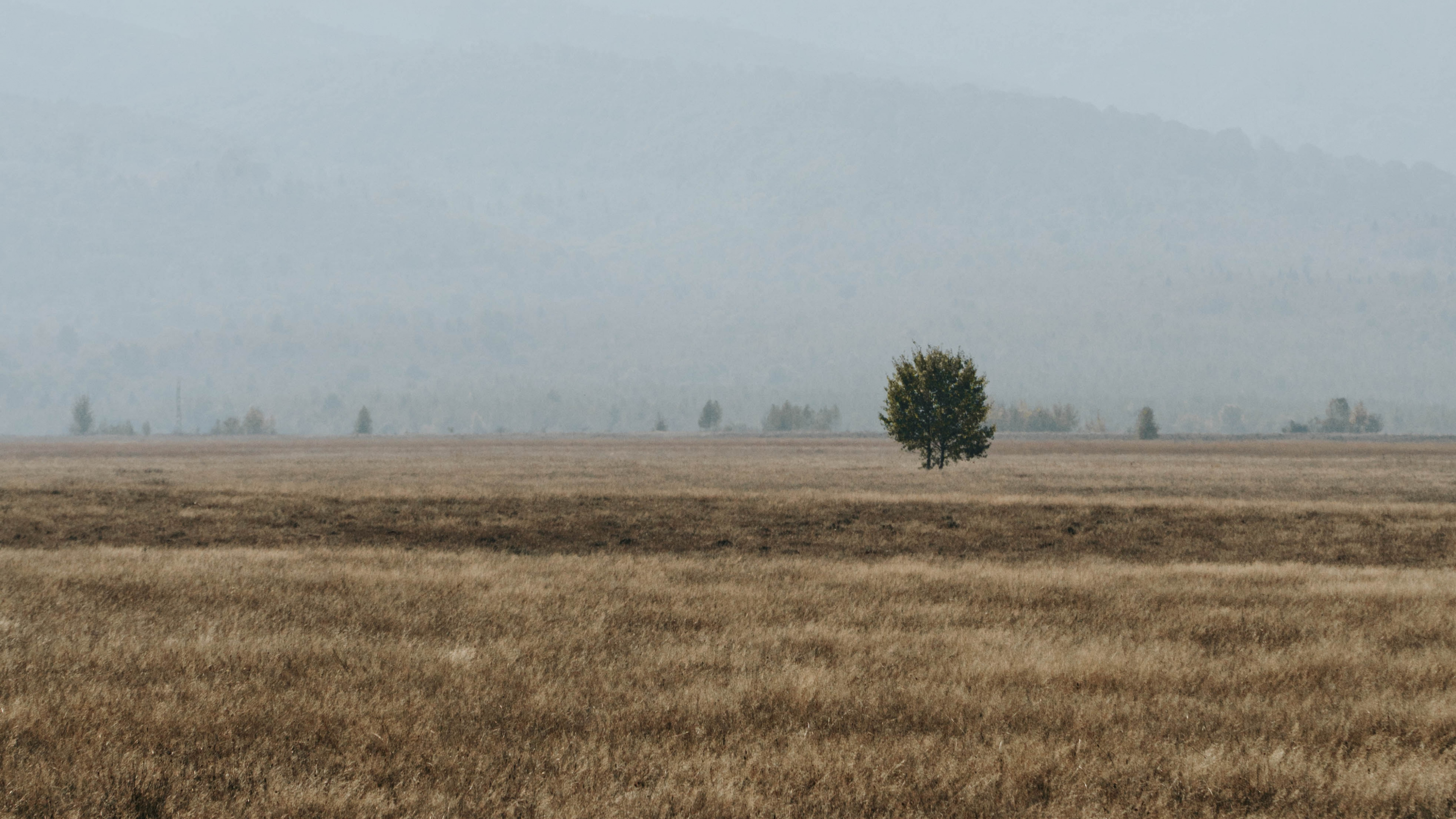 Обои сельский район, утро, дерево, национальный парк, небо в разрешении 3840x2160