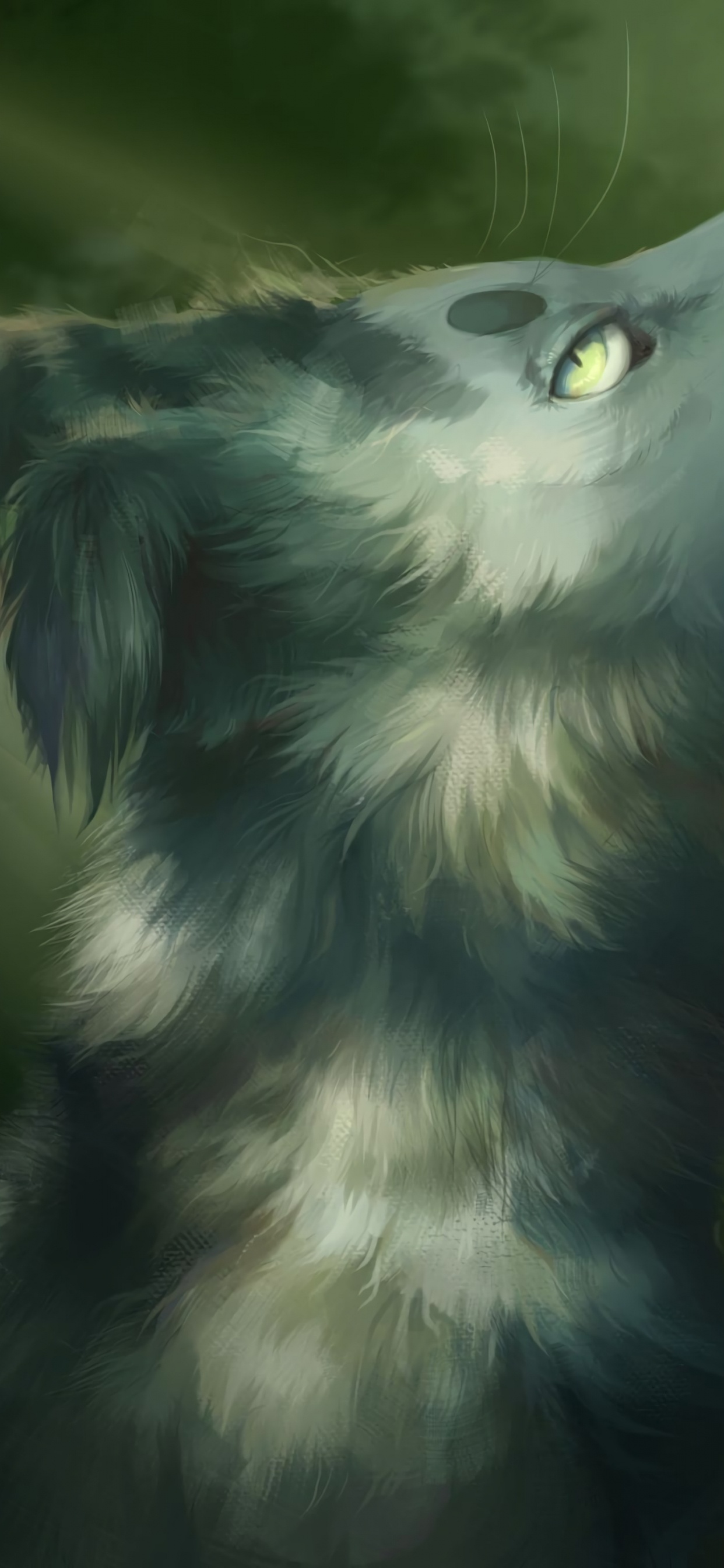 Обои морда, арт, крупный план, живая природа, эскиз в разрешении 1242x2688