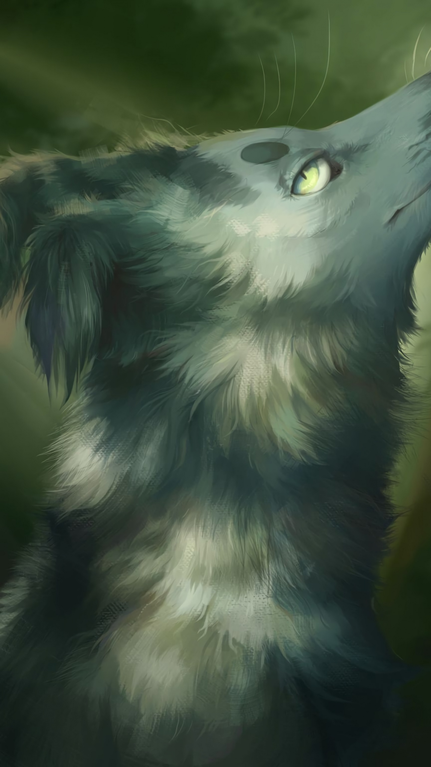 Обои морда, арт, крупный план, живая природа, эскиз в разрешении 1440x2560