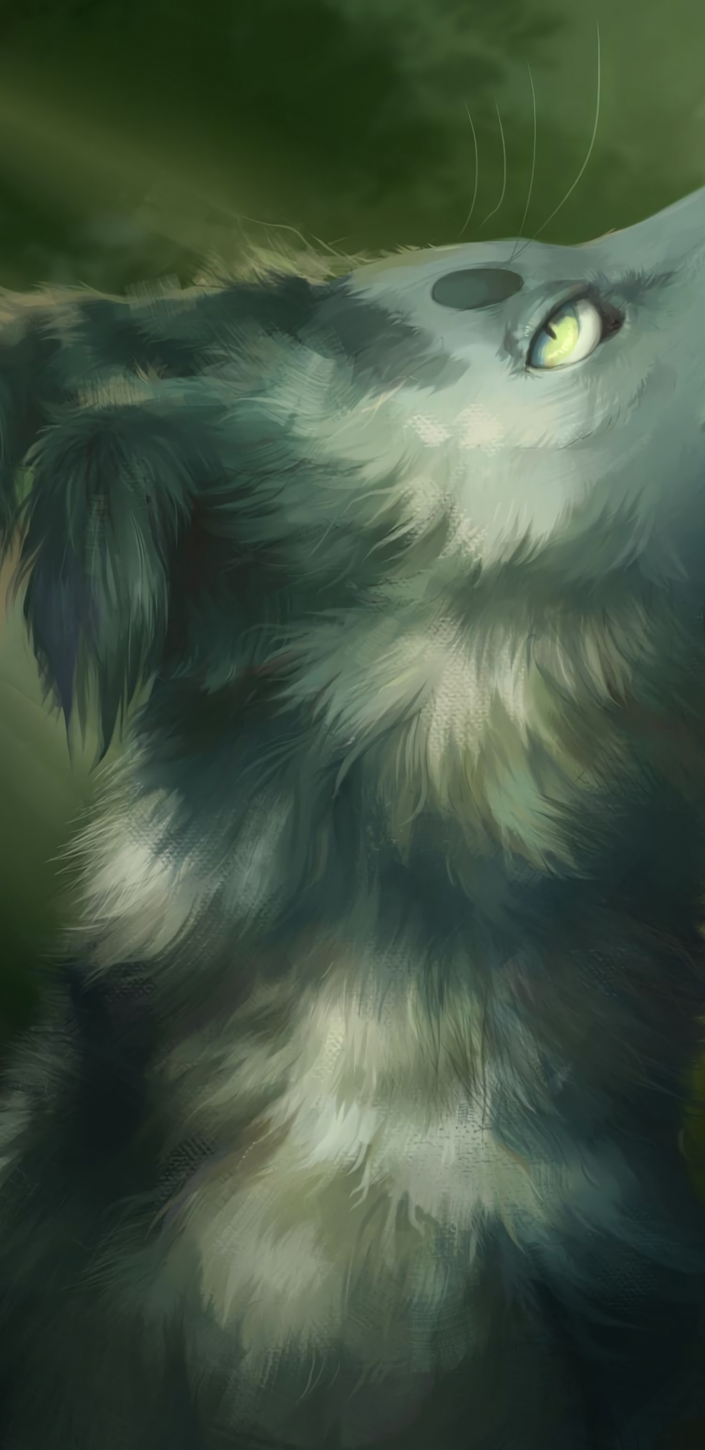 Обои морда, арт, крупный план, живая природа, эскиз в разрешении 1440x2960