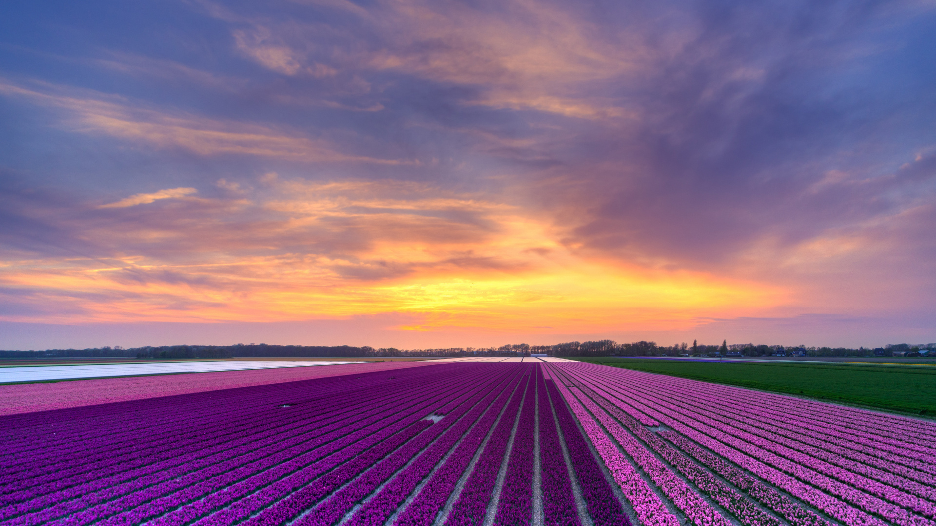 Обои закат, перспектива, вечер, горизонт, облако в разрешении 1920x1080