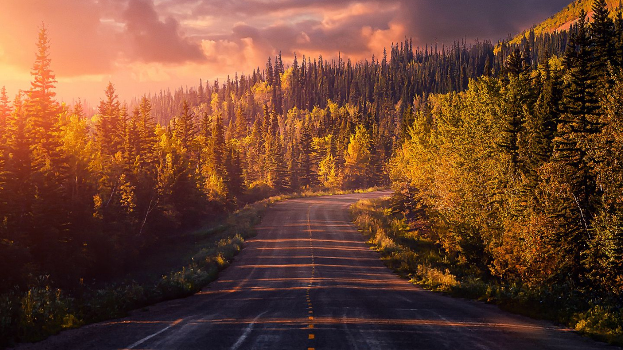 Обои облако, растение, послесвечение, дорожное покрытие, природный ландшафт в разрешении 1280x720