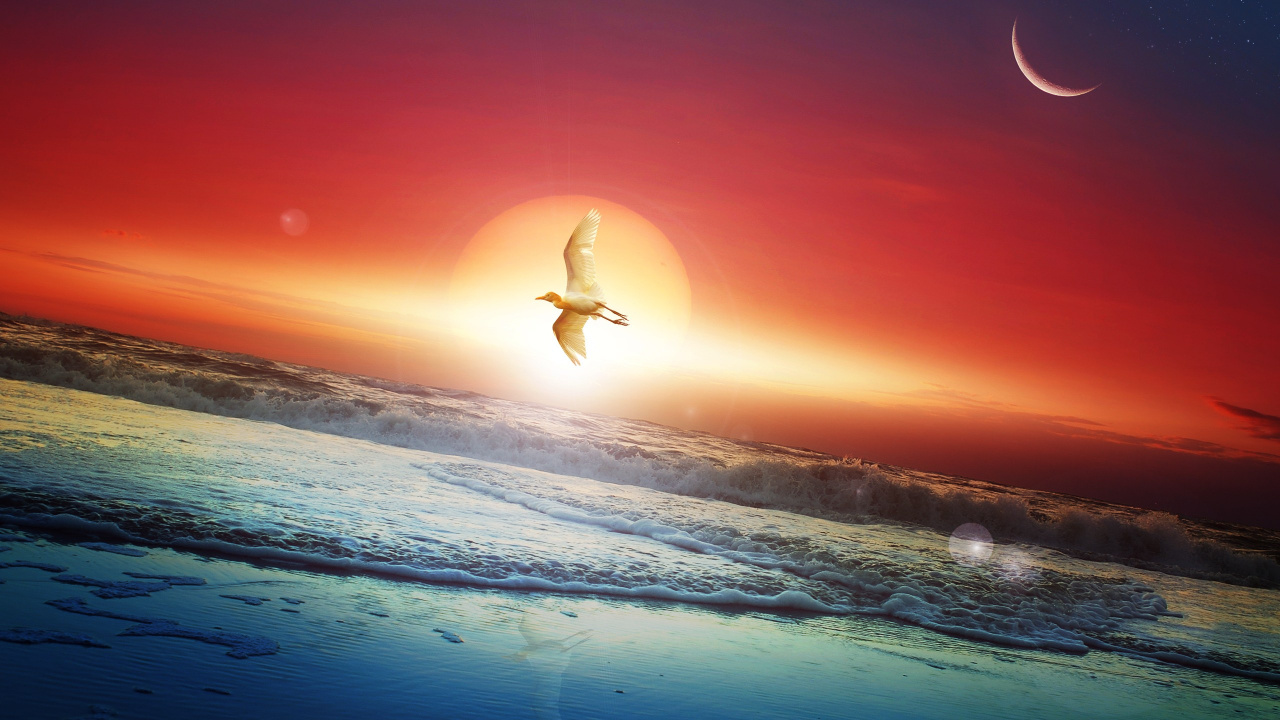 Обои луна, Сайт pokmon Солнце и Луна, море, дневное время, атмосфера в разрешении 1280x720