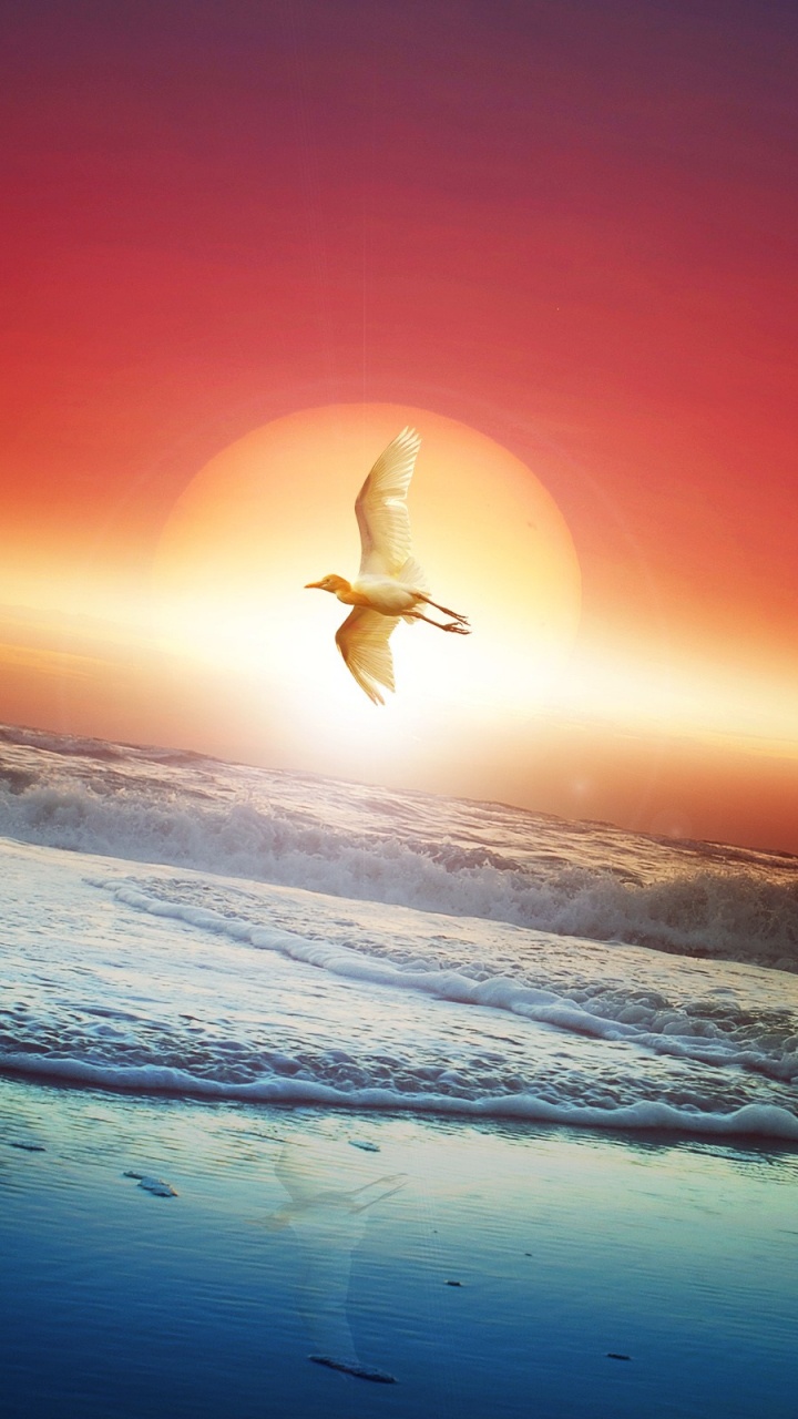 Обои луна, Сайт pokmon Солнце и Луна, море, дневное время, атмосфера в разрешении 720x1280