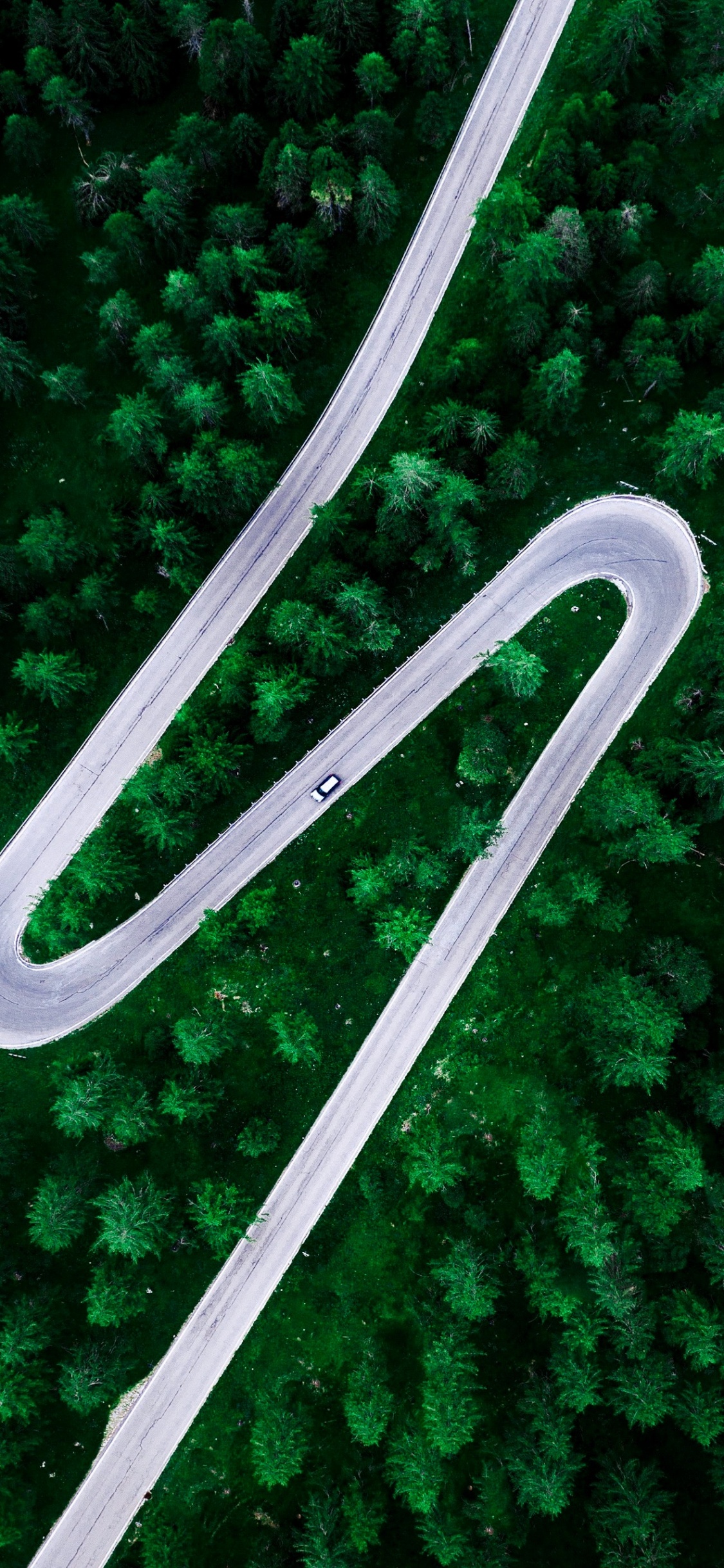 Обои шепчущая вселенная, иллюстрация, Amazon Музыка, Windolino, зеленый в разрешении 1125x2436