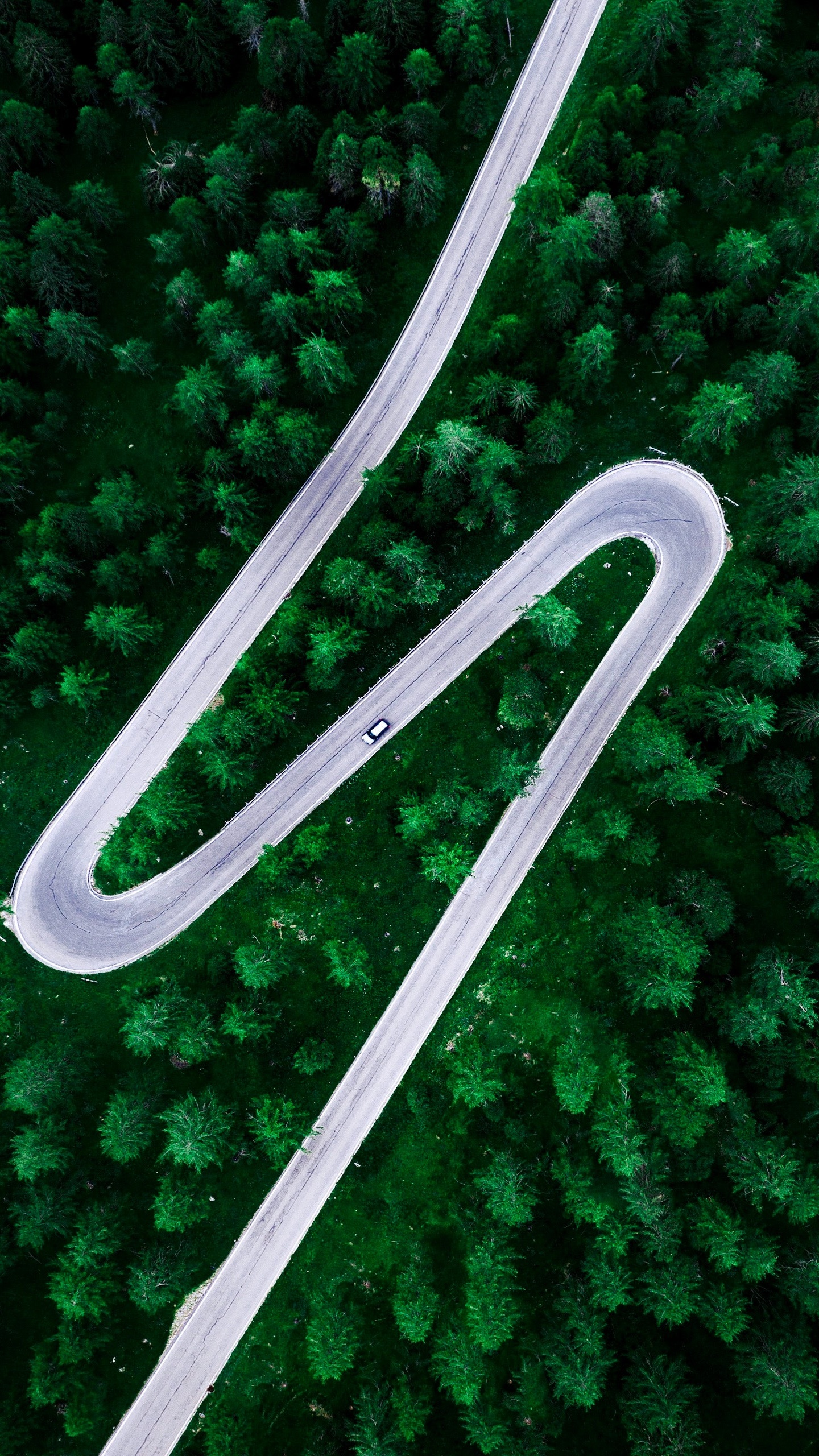 Обои шепчущая вселенная, иллюстрация, Amazon Музыка, Windolino, зеленый в разрешении 1440x2560