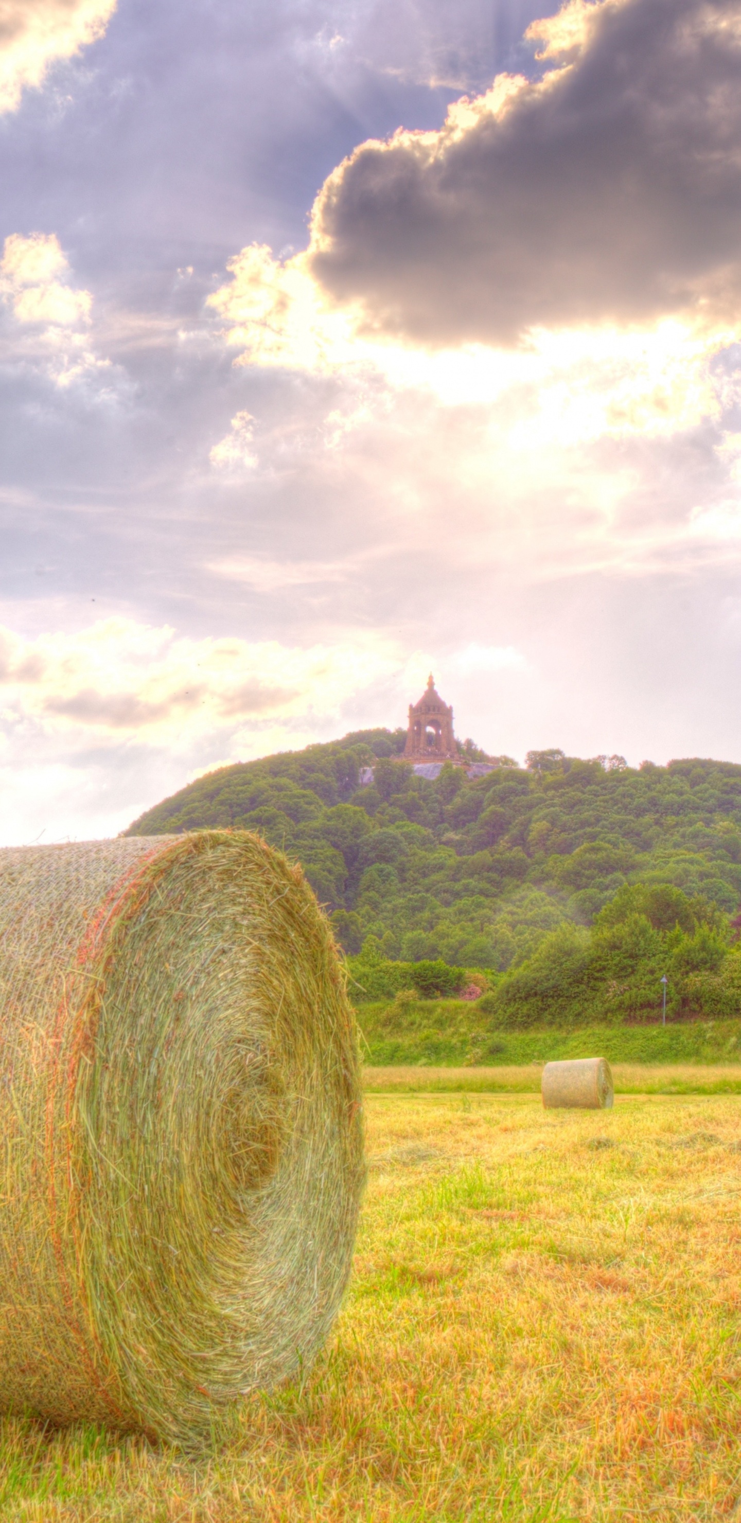 Обои поле, луг, урожайность, сено, сенокосное угодье в разрешении 1440x2960