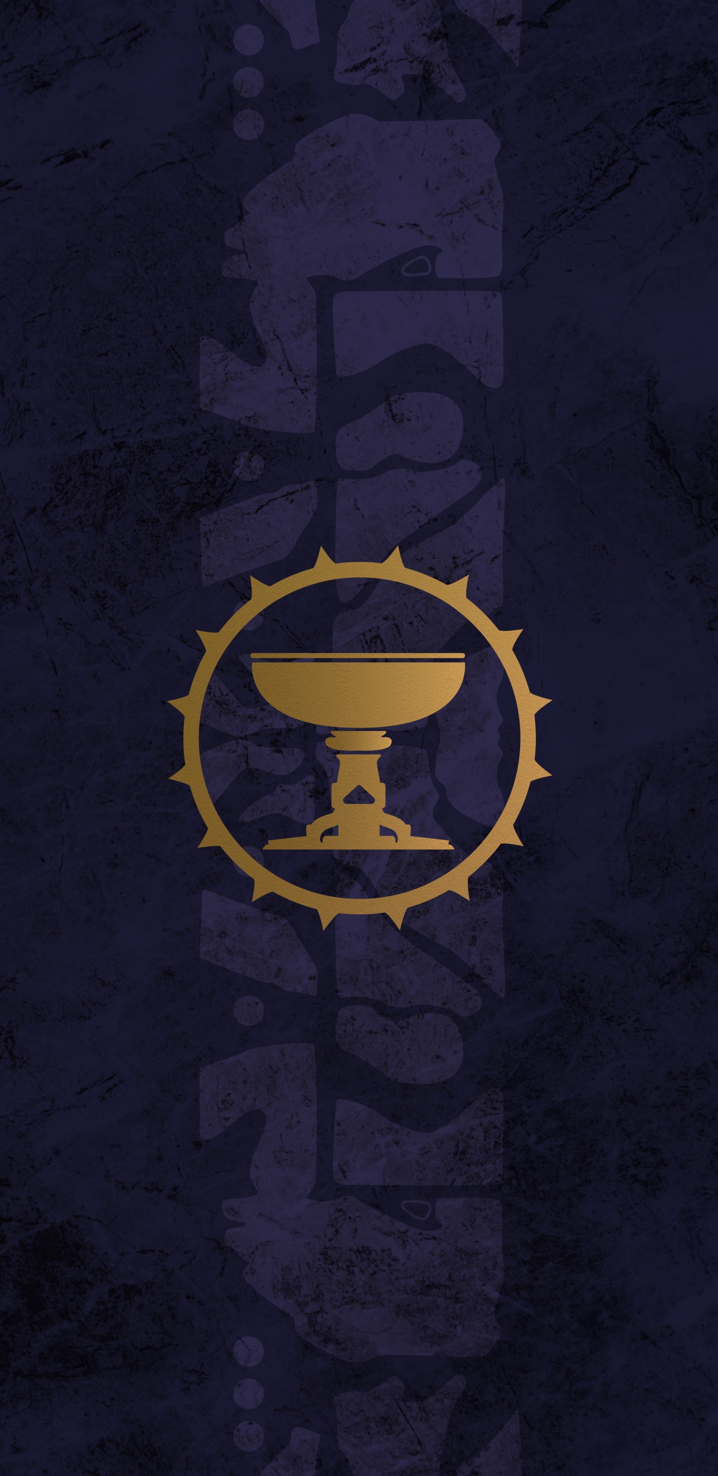 Обои темнота, destiny 2, destiny the taken king, круг, полутона и оттенки в разрешении 1440x2960