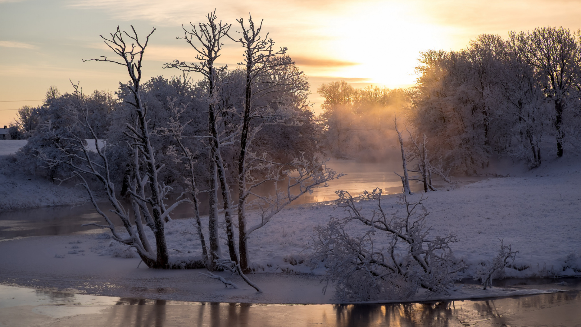 Обои зима, снег, природа, замораживание, дерево в разрешении 1920x1080
