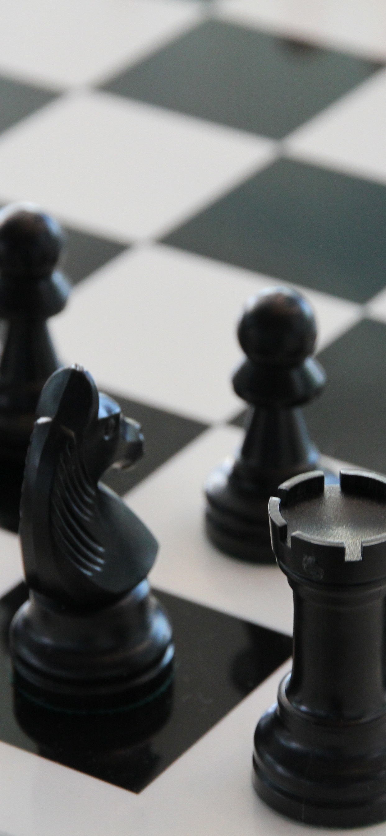 Обои шахматы, шахматная доска, Шахматная фигура, шахматный клуб, игры в помещении и спорта в разрешении 1242x2688