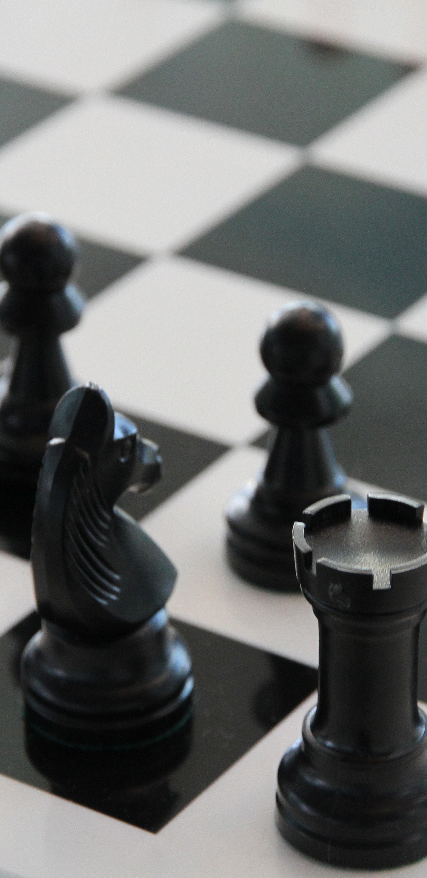 Обои шахматы, шахматная доска, Шахматная фигура, шахматный клуб, игры в помещении и спорта в разрешении 1440x2960