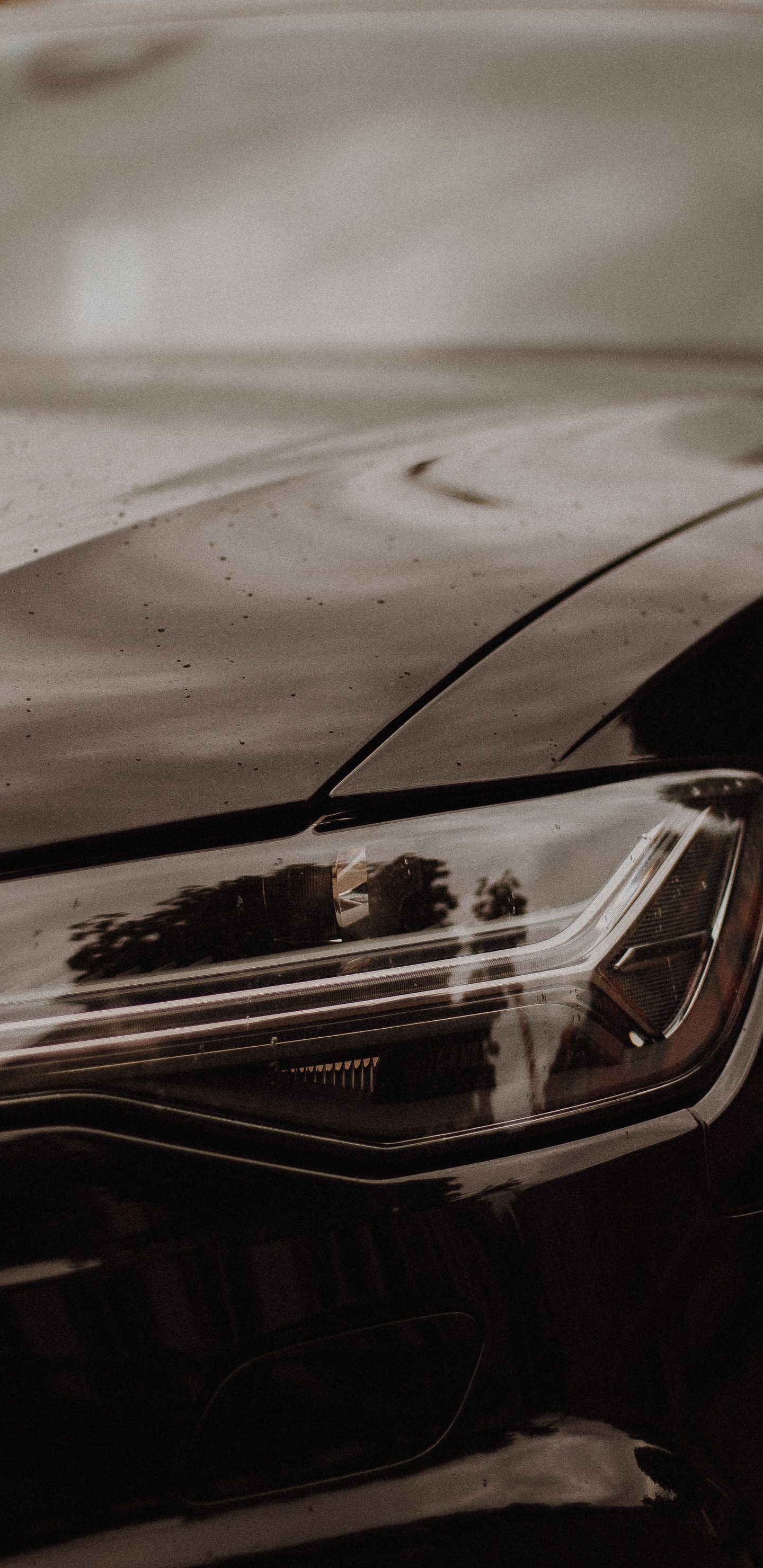 Обои audi rs 6, фара, audi, черный, автомобильное освещение в разрешении 1440x2960