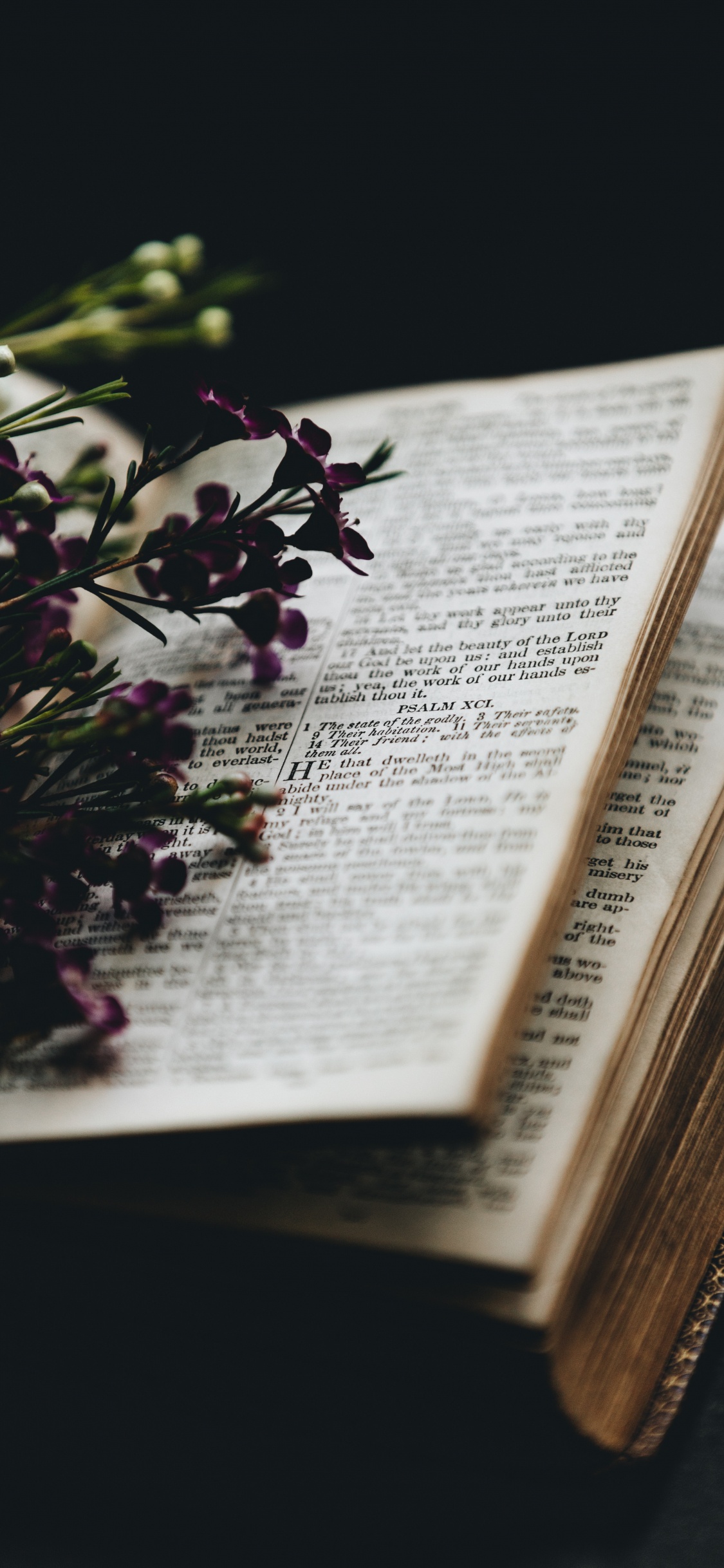 Обои книга, текст, розовый, ботаники, растение в разрешении 1125x2436