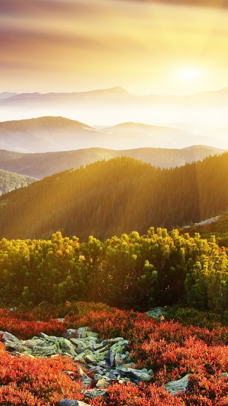 Обои природа, горный рельеф, гора, дикая местность, растительность в разрешении 750x1334