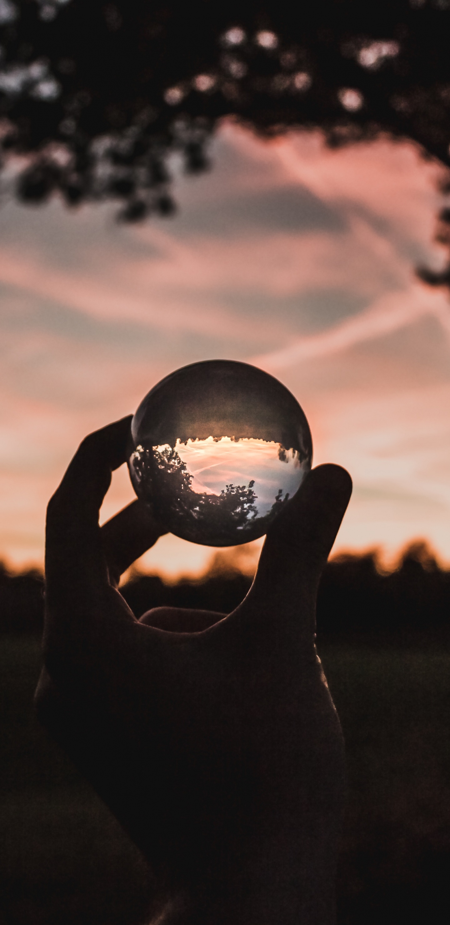 Обои утро, облако, гиря, солнечный свет, небо в разрешении 1440x2960