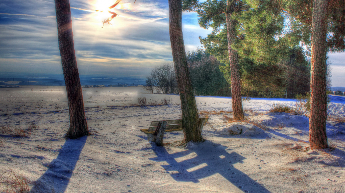 Обои утро, дерево, зима, снег, солнечный свет в разрешении 1366x768