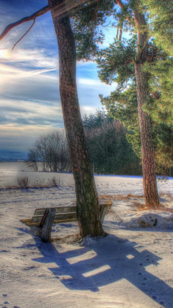 Обои утро, дерево, зима, снег, солнечный свет в разрешении 720x1280