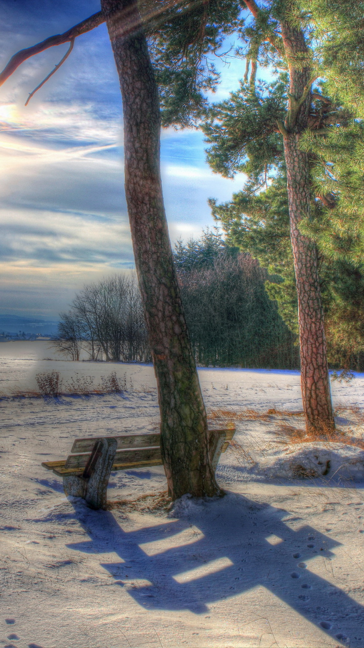 Обои утро, дерево, зима, снег, солнечный свет в разрешении 750x1334