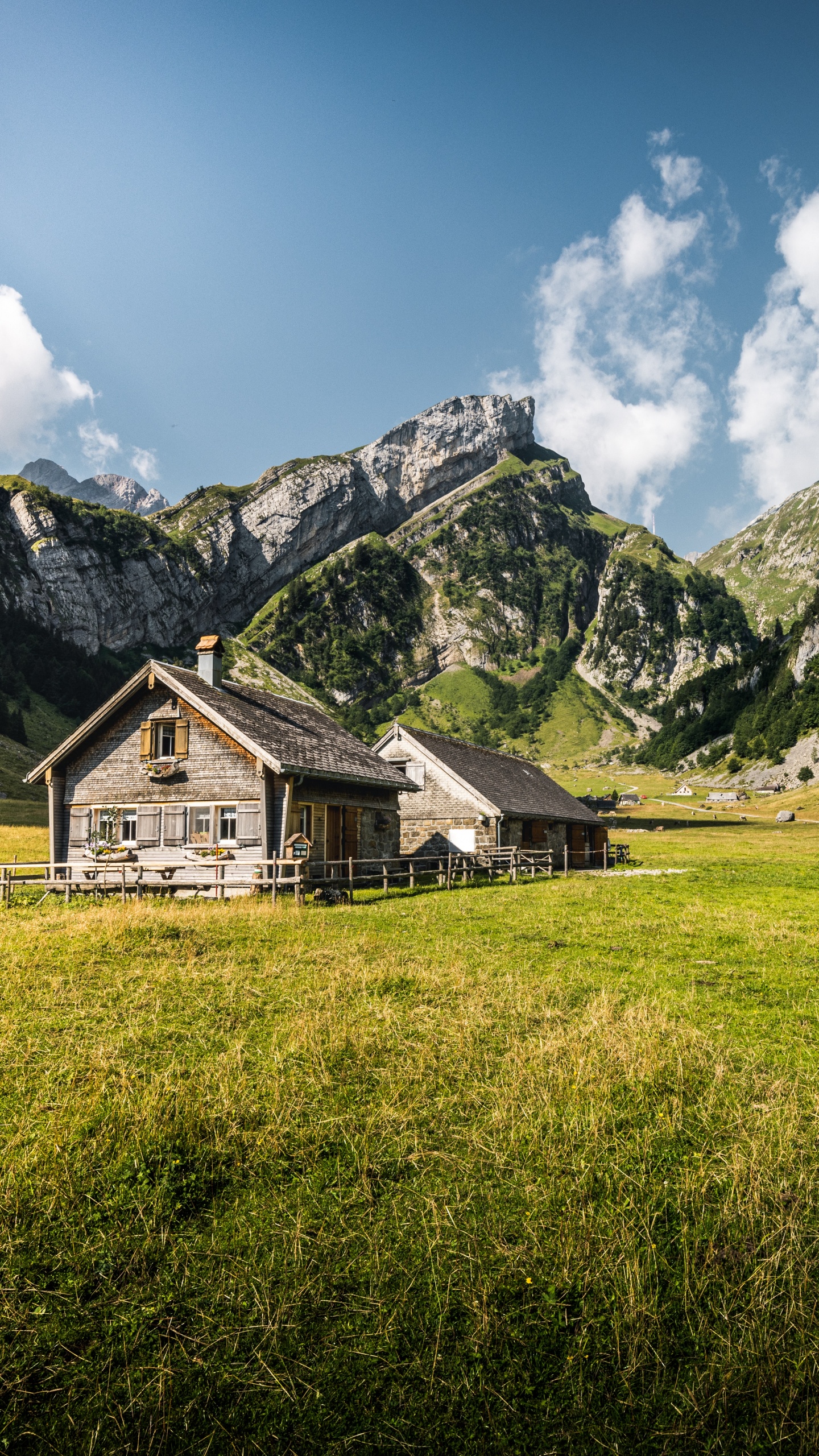 Обои Seealpsee, гора, облако, растение, зеленый в разрешении 1440x2560