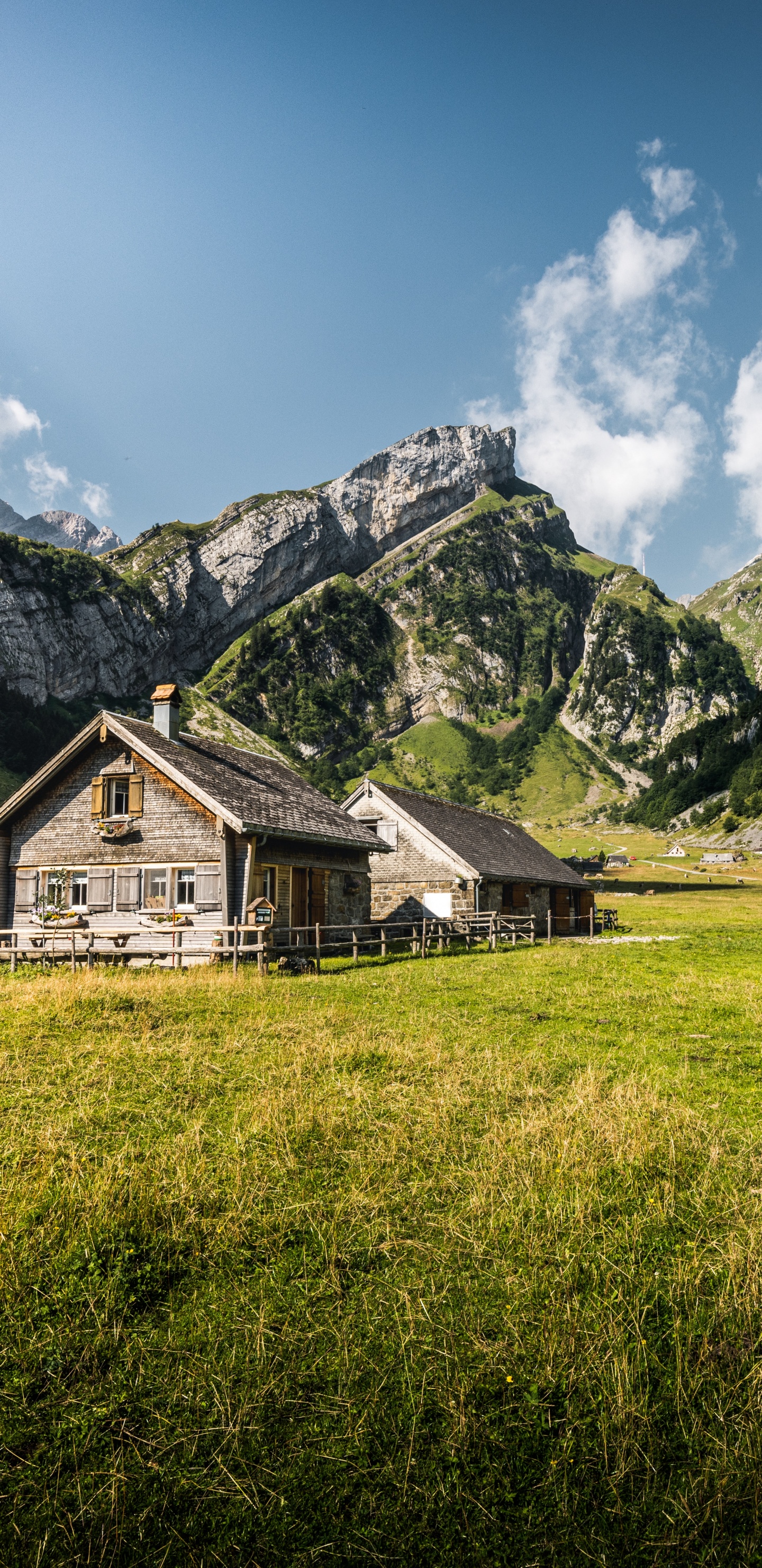 Обои Seealpsee, гора, облако, растение, зеленый в разрешении 1440x2960