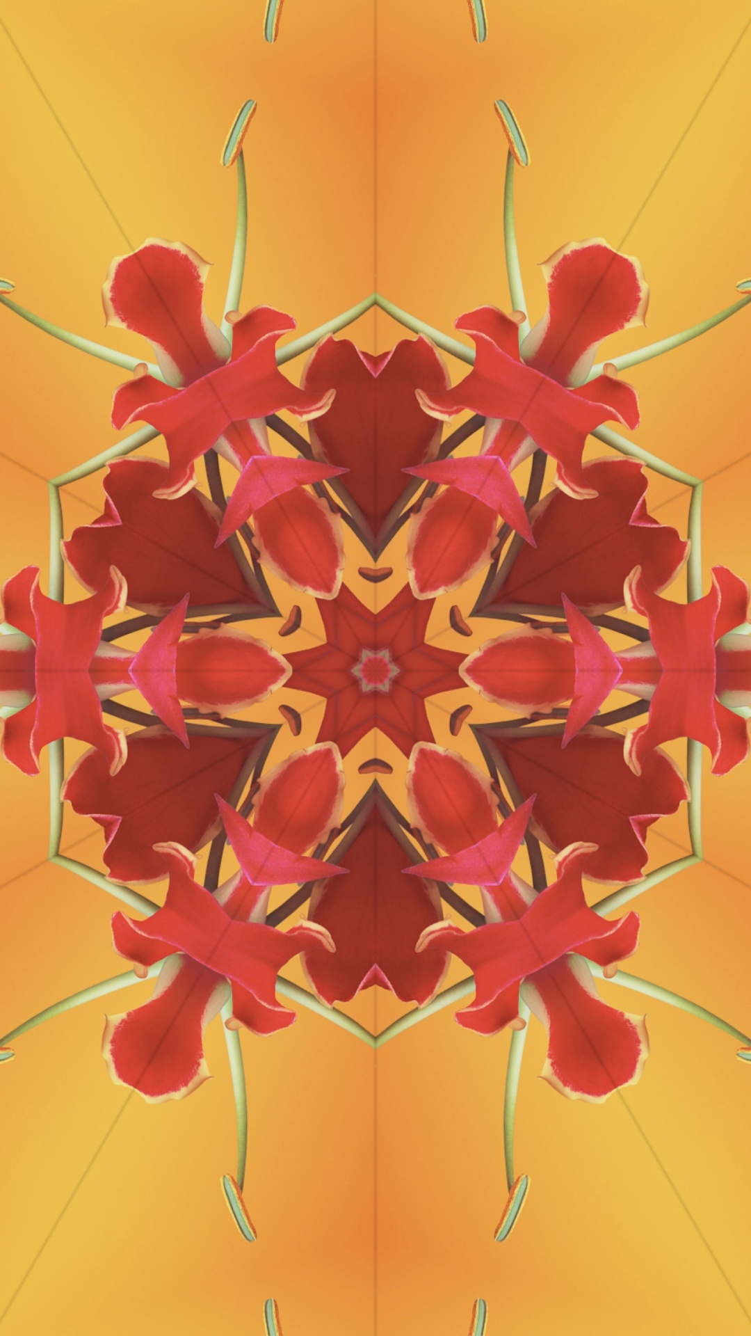 Обои iOS 17, iOS 17 калейдоскоп, ios, я уточнила, яблоко в разрешении 1080x1920