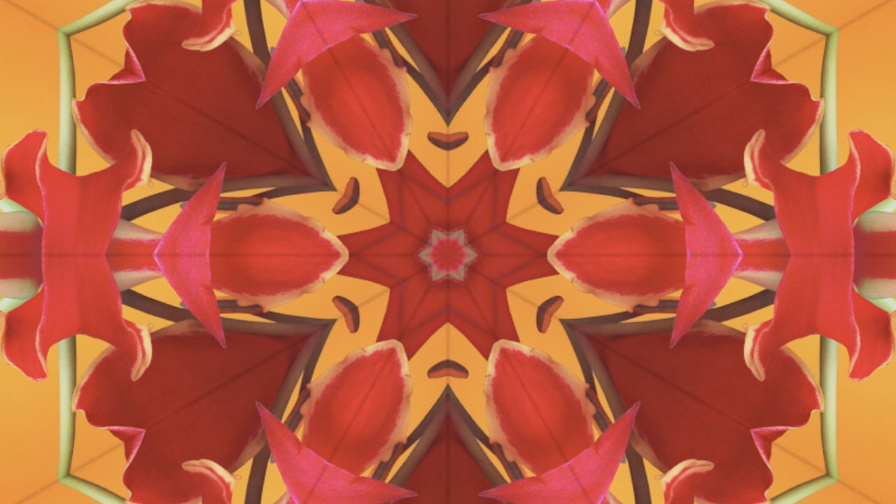 Обои iOS 17, iOS 17 калейдоскоп, ios, я уточнила, яблоко в разрешении 1280x720