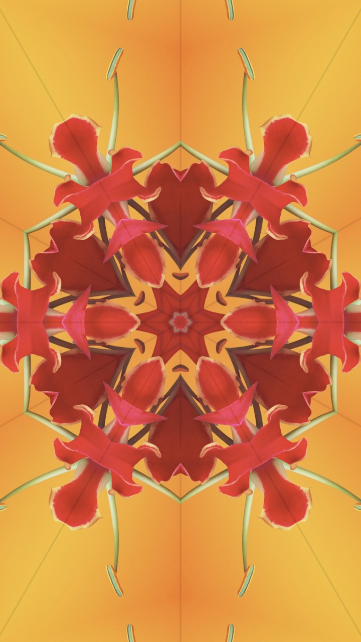 Обои iOS 17, iOS 17 калейдоскоп, ios, я уточнила, яблоко в разрешении 720x1280