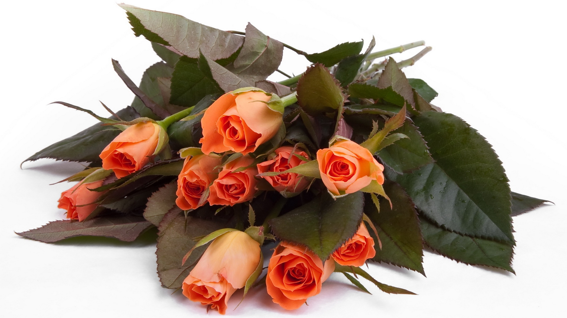 Обои Роза, цветочный букет, срезанные цветы, флористика, дата рождения в разрешении 1920x1080