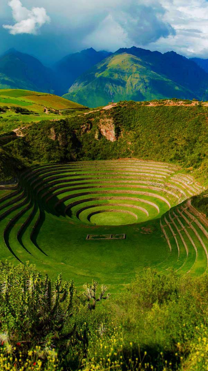 Обои мурена, МачуПикчу, Священная Долина, Мараш, империя инков в разрешении 720x1280