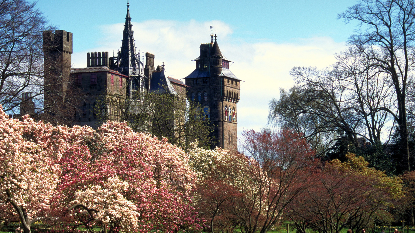 Обои Лондон, дерево, город, небо, музей в разрешении 1366x768