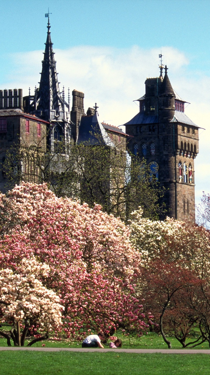 Обои Лондон, дерево, город, небо, музей в разрешении 720x1280