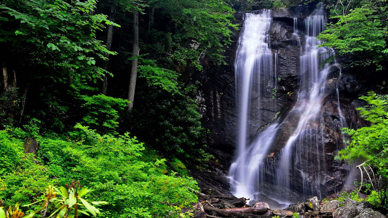 Обои водопад, водоток, гидроресурсы, водоем, растительность в разрешении 1280x720