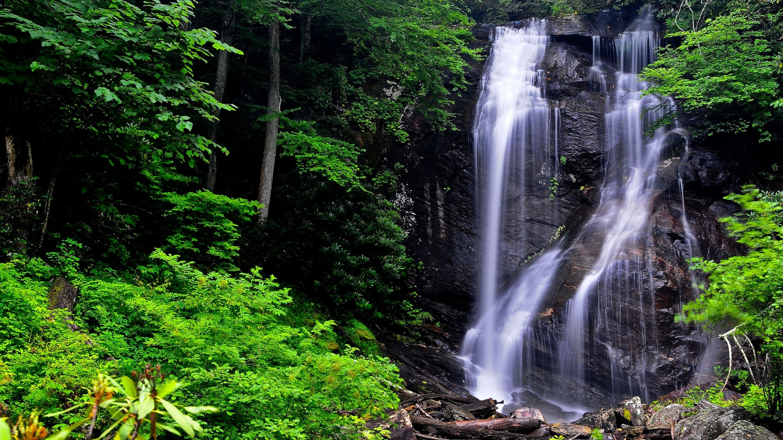 Обои водопад, водоток, гидроресурсы, водоем, растительность в разрешении 2560x1440