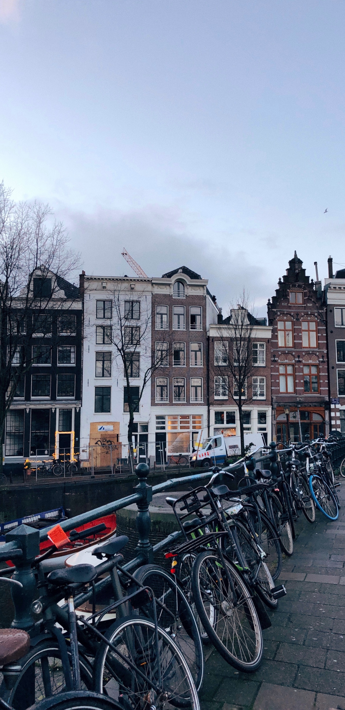 Обои канал, дорожный велосипед, велосипед, гибридный велосипед, водный путь в разрешении 1440x2960