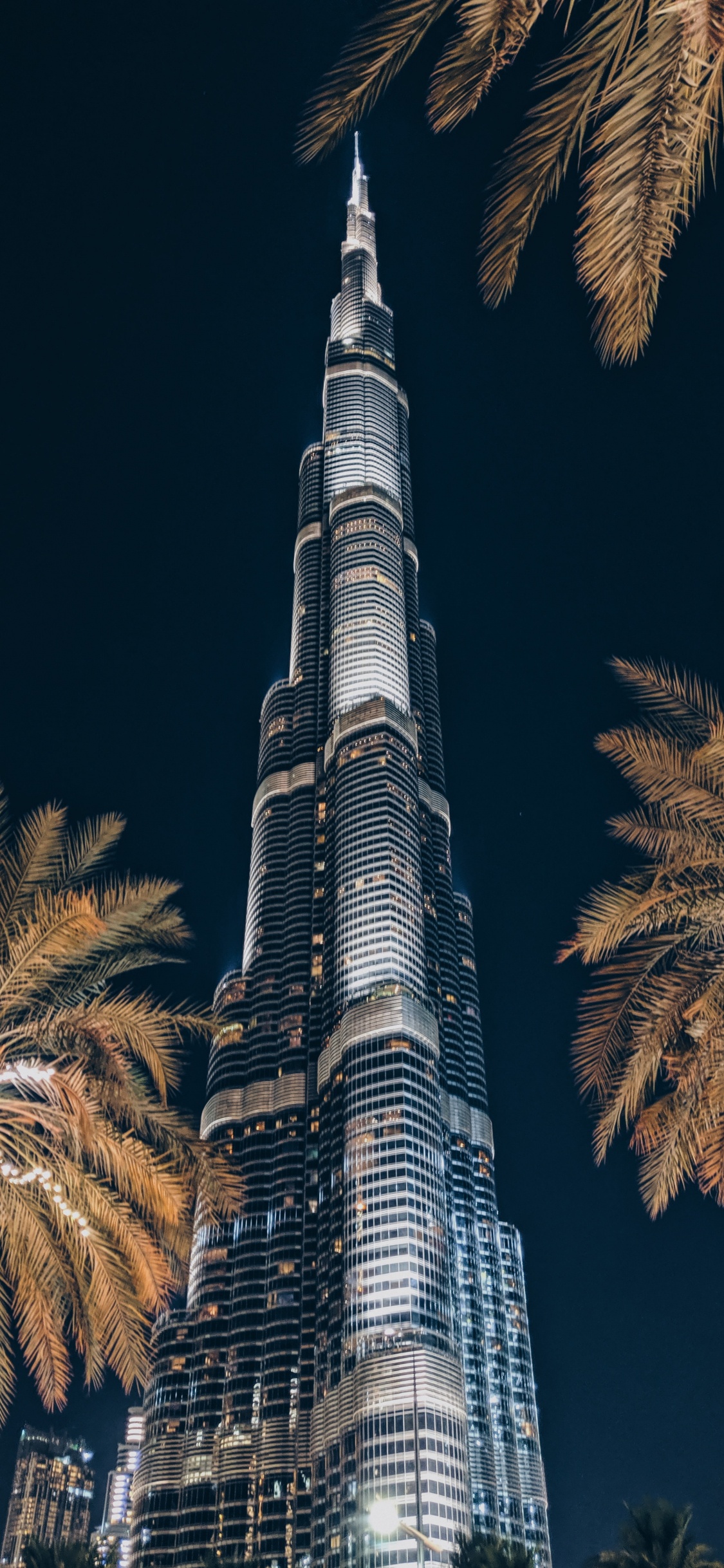 Обои небоскреб, вышка, ориентир, дерево, Пальма в разрешении 1125x2436