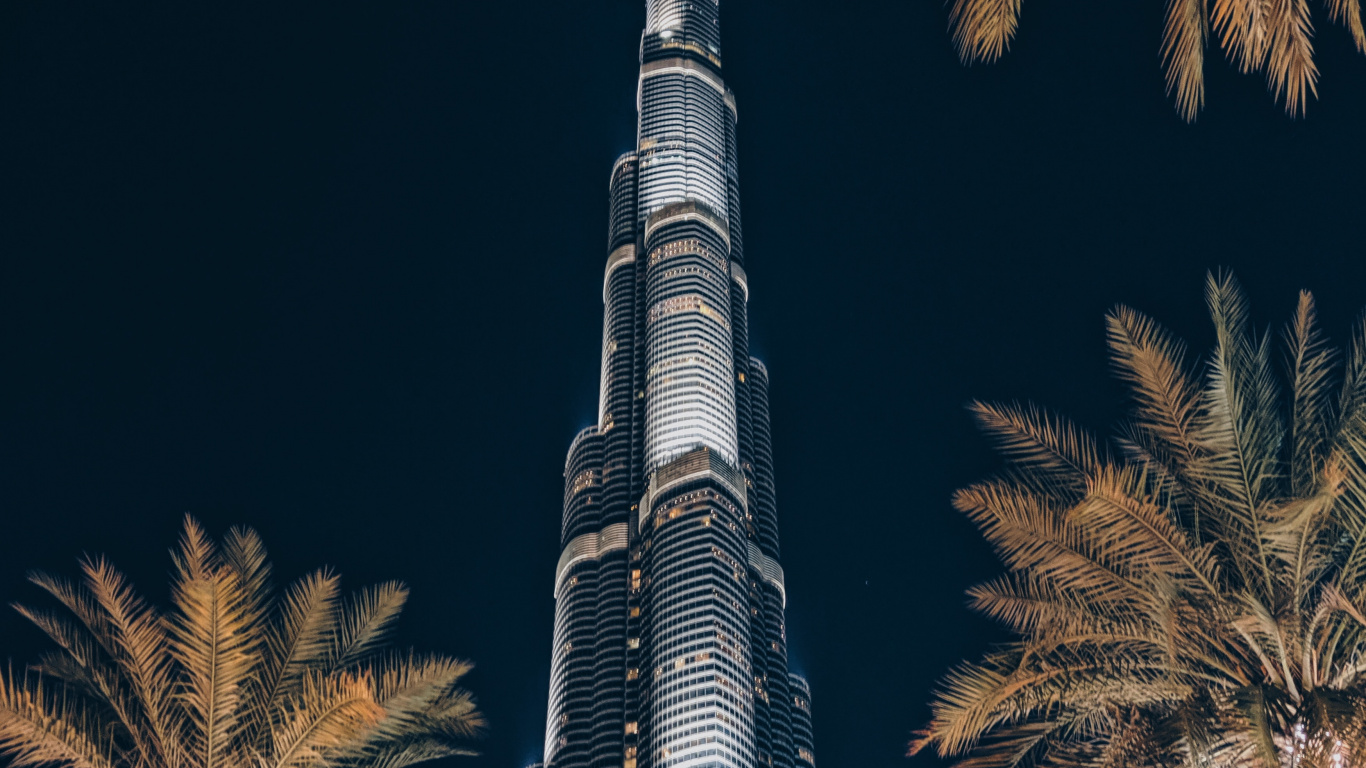 Обои небоскреб, вышка, ориентир, дерево, Пальма в разрешении 1366x768