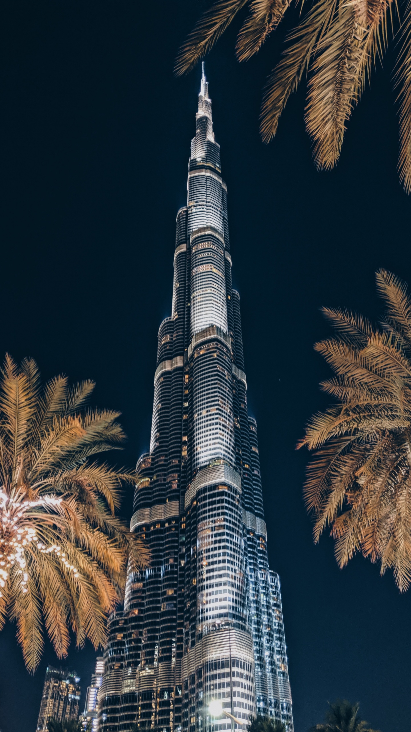 Обои небоскреб, вышка, ориентир, дерево, Пальма в разрешении 1440x2560