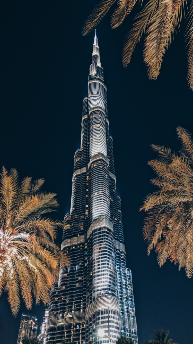 Обои небоскреб, вышка, ориентир, дерево, Пальма в разрешении 750x1334