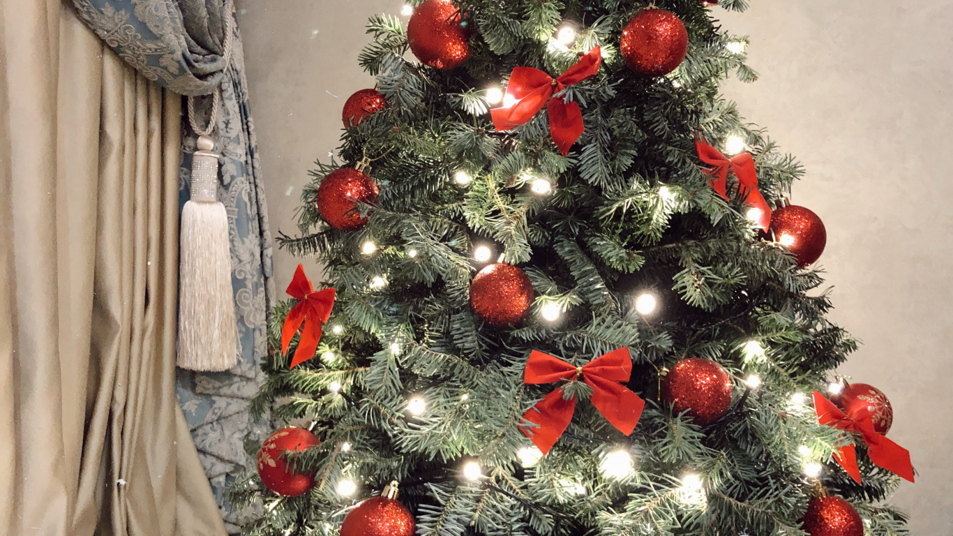 Обои елка, Рождественский день, ель, Рождественские украшения, дизайн интерьера в разрешении 1366x768