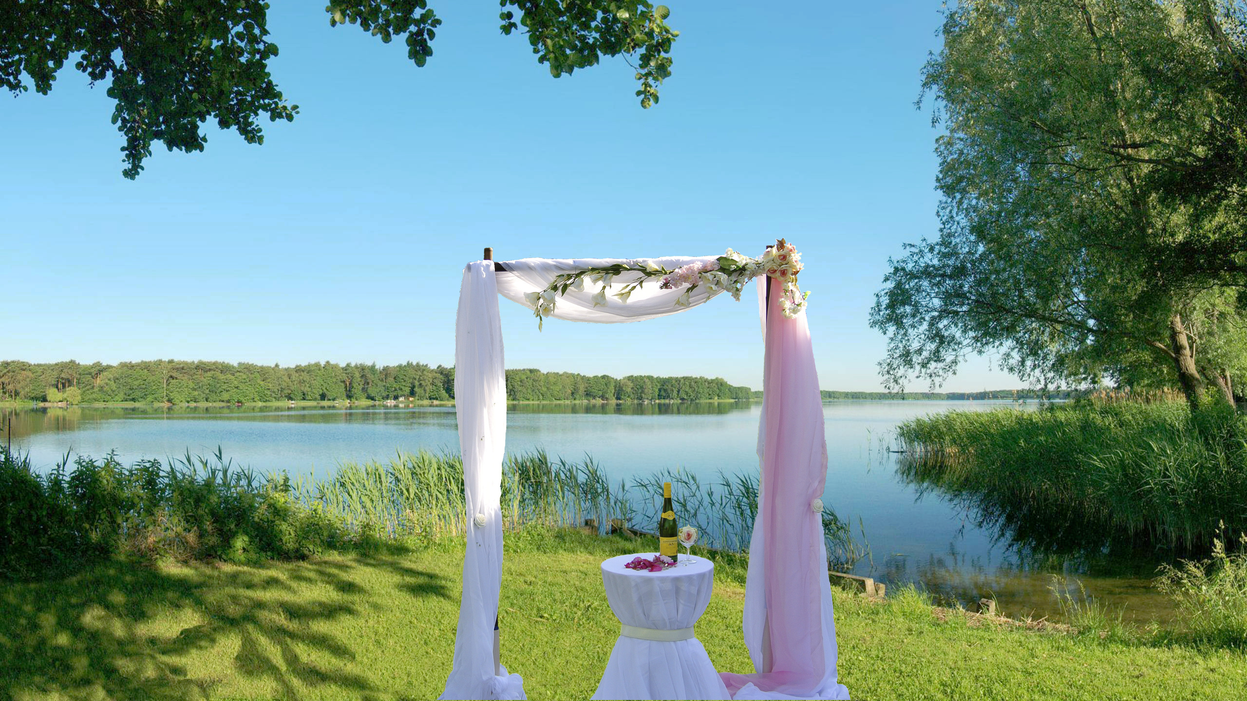 Обои дерево, лето, луг, море, отдых в разрешении 2560x1440